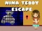Hra Nina Teddy Únik online