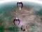 Hra Scape Shotter online