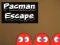Hra Pacman Únik online