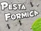 Hra Sviatok Mravcov online