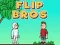 Hra Flip Bratia online