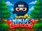 Hra Super Ninja Balloon online