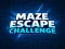 Hra Maze Escape Challenge online
