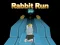 Hra Bunny Run 3D online