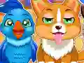 Hra Vzdelaný Veterinár online