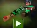 Hra Výzva pre kriketových hráčov online Hra Výzva pre kriketových hráčov online