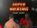 Hra Super Boxer online