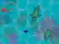 Hra Sharkz.io online