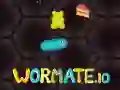 Hra Wormate.io online Hra Wormate.io online