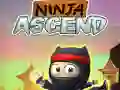 Hra Ninja Vzostup online Hra Ninja Vzostup online