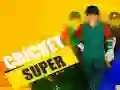 Hra Super Kriket online
