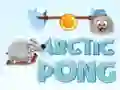 Hra Arktický Pong online Hra Arktický Pong online