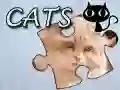 Hra Hádanka: Mačky online