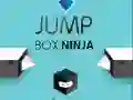 Hra Skákajúce Box Ninja online Hra Skákajúce Box Ninja online