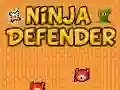 Hra Ninja Obranný online Hra Ninja Obranný online
