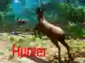Hra Lovec online