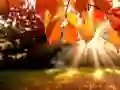Hra Puzzle: Jeseň online Hra Puzzle: Jeseň online