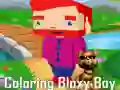 Hra Farbenie Bloxy Chlapca online Hra Farbenie Bloxy Chlapca online