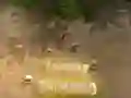 Hra Vežová obrana online