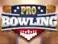Hra Profesionálny bowling online