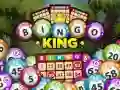 Hra Kráľ Binga online Hra Kráľ Binga online
