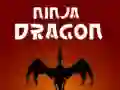 Hra Nindža Drak online Hra Nindža Drak online