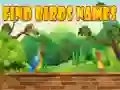 Hra Nájdite názvy vtákov online Hra Nájdite názvy vtákov online