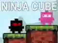 Hra Ninja Kocka online Hra Ninja Kocka online