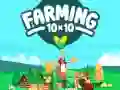 Hra Farmárstvo 10x10 online Hra Farmárstvo 10x10 online