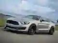 Hra Hádanka Mustang Shelby online Hra Hádanka Mustang Shelby online