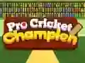 Hra Profesionálny majster v krikete online