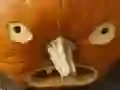 Hra 5 v 1 Obrázková skladačka: Halloween online Hra 5 v 1 Obrázková skladačka: Halloween online