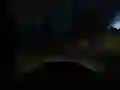 Hra Horror Džunglová Jazda online Hra Horror Džunglová Jazda online