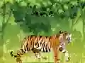 Hra Rozzúrený tiger farbenie online