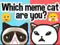 Hra Ktorý meme mačka si? online Hra Ktorý meme mačka si? online