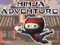 Hra Ninja Dobrodružstvo online Hra Ninja Dobrodružstvo online