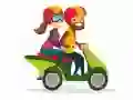 Hra Motocykle Nájdite Rozdiely online Hra Motocykle Nájdite Rozdiely online