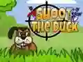 Hra Strieľaj na kačicu online