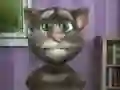 Hra Hovoriaci Tom: Zábavný Čas online Hra Hovoriaci Tom: Zábavný Čas online