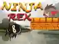 Hra Ninja Rex online Hra Ninja Rex online