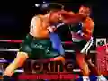 Hra Zápas šampiónov v boxe online Hra Zápas šampiónov v boxe online