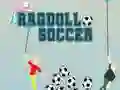 Hra Ragdoll Futbal online