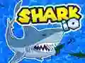Hra Shark.io online Hra Shark.io online
