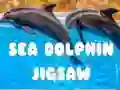 Hra Puzzle Morský Delfín online