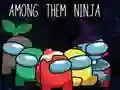 Hra Medzi Nimi Ninja online Hra Medzi Nimi Ninja online