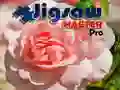 Hra Majster Puzzle Pro online Hra Majster Puzzle Pro online
