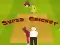 Hra Super Kriket online Hra Super Kriket online