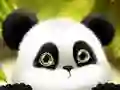 Hra Panda Kĺzanie online Hra Panda Kĺzanie online