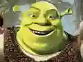 Hra Shrek: Zbierka Hádankových Hracích online