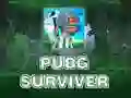 Hra PUBG Preživší online Hra PUBG Preživší online